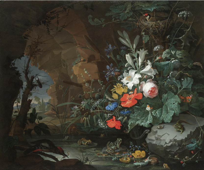 Abraham_Mignon_-_Interior_of_a_grotto_with_a_rock-pool,_frogs,_salamanders_and_a_bird's_nest